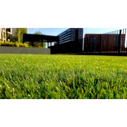 CLEARANCE: Bluestone Patio Paver — 16×16